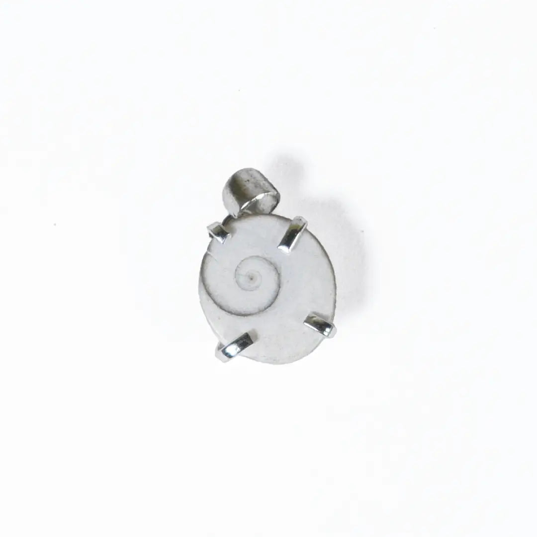 Gomti Chakra