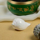Jal Sankh