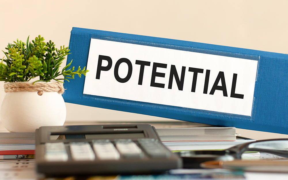 Law Of Pure Potentiality