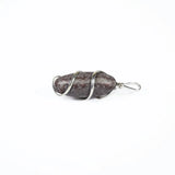 Narmadeswar Pendent