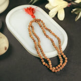 Rudrax Mala Simple