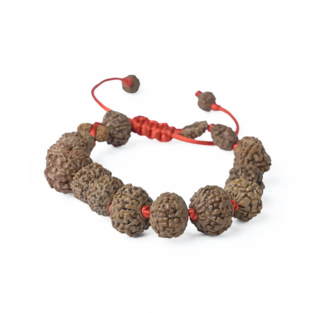 Siddha Rudrax Bracelet