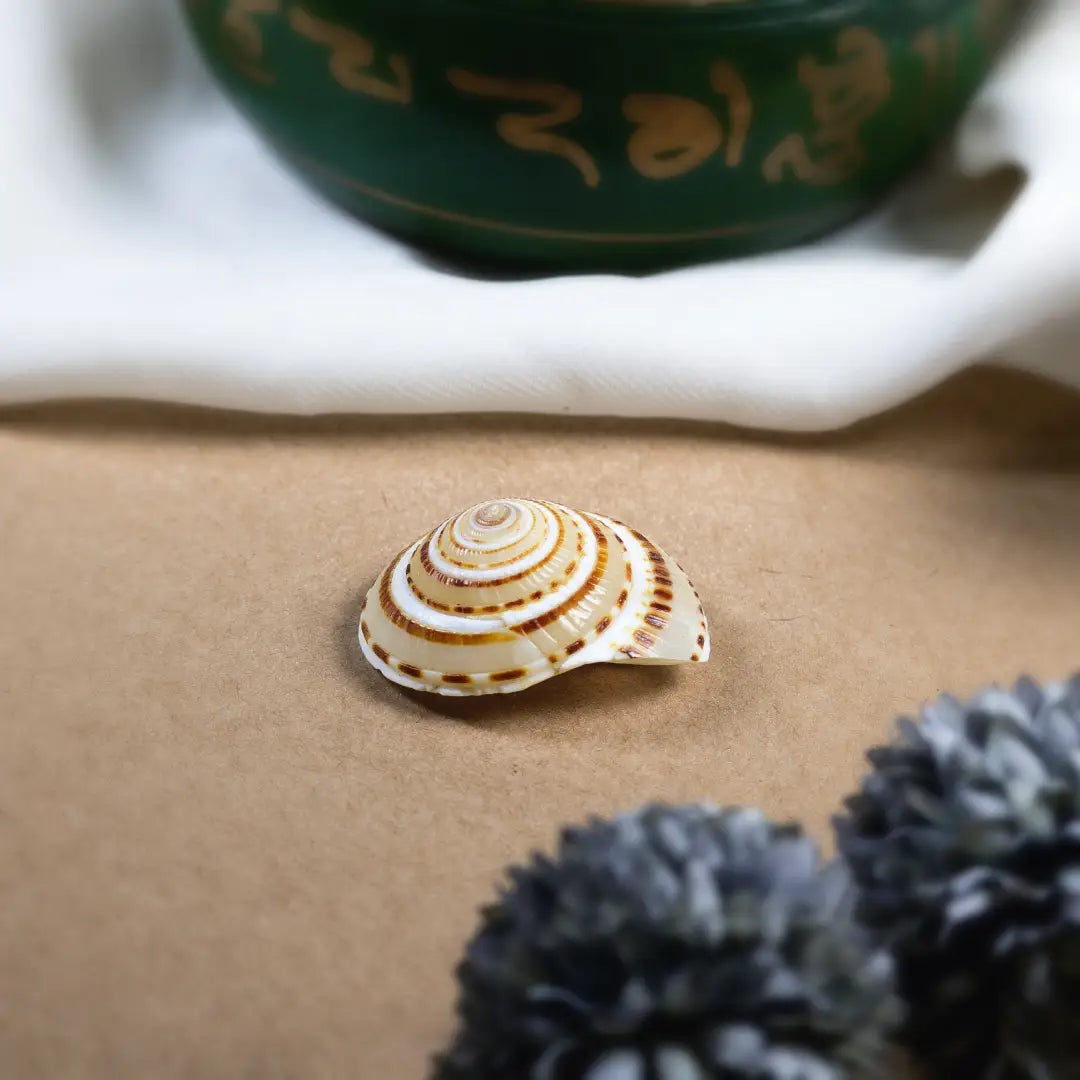 Vishnu Chakra Sankh
