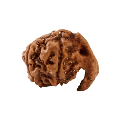 ganesh rudraksha Icon