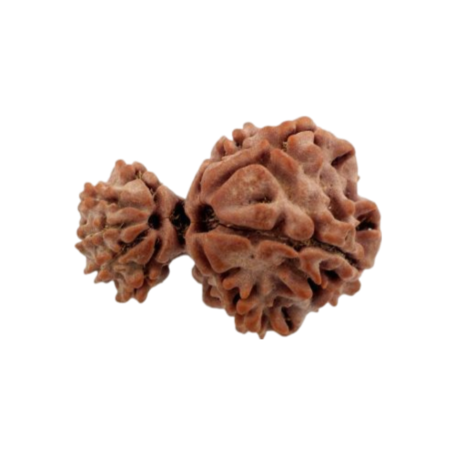garbh gauri rudraksha Icon