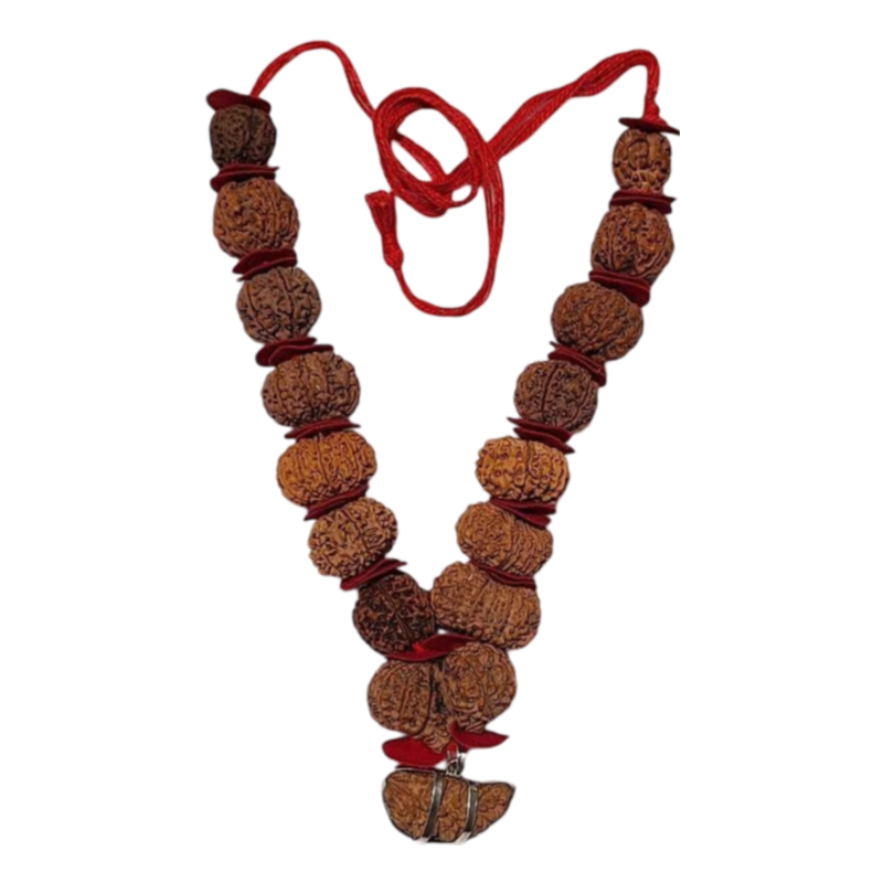 rudraksha siddha mala Icon